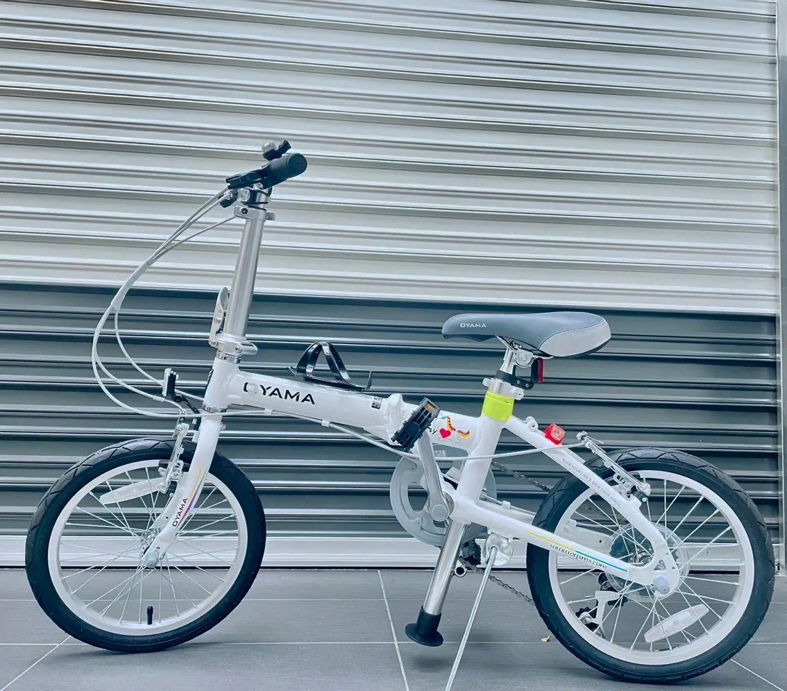bike6-1